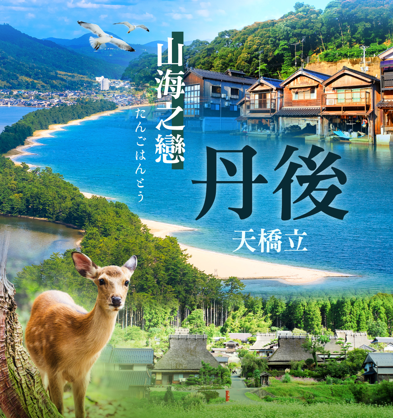 山海之戀.丹後天橋立5日